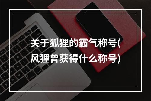 关于狐狸的霸气称号(风狸曾获得什么称号)