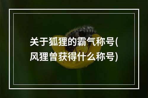 关于狐狸的霸气称号(风狸曾获得什么称号)