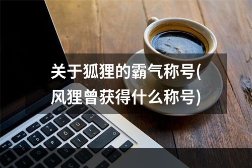 关于狐狸的霸气称号(风狸曾获得什么称号)