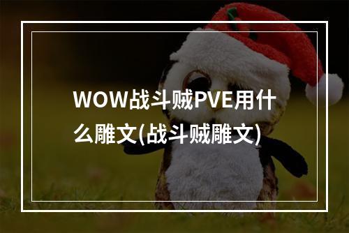 WOW战斗贼PVE用什么雕文(战斗贼雕文)