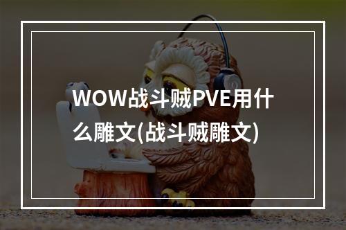 WOW战斗贼PVE用什么雕文(战斗贼雕文)