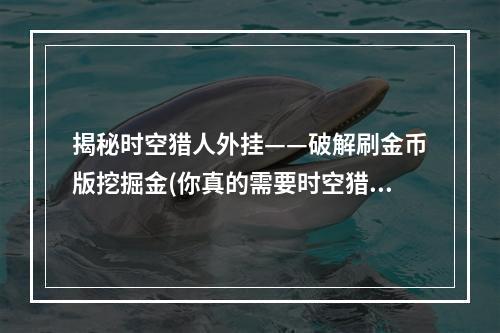 揭秘时空猎人外挂——破解刷金币版挖掘金(你真的需要时空猎人辅助器吗？)