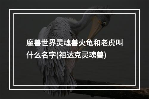 魔兽世界灵魂兽火龟和老虎叫什么名字(祖达克灵魂兽)