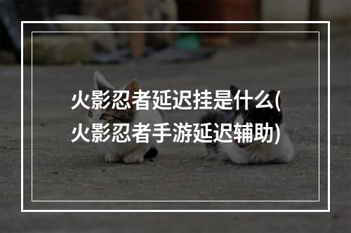 火影忍者延迟挂是什么(火影忍者手游延迟辅助)