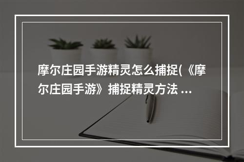 摩尔庄园手游精灵怎么捕捉(《摩尔庄园手游》捕捉精灵方法 去哪抓精灵 摩尔庄园)