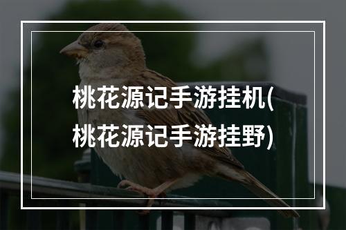 桃花源记手游挂机(桃花源记手游挂野)