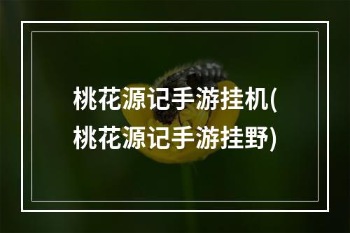 桃花源记手游挂机(桃花源记手游挂野)