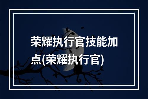 荣耀执行官技能加点(荣耀执行官)