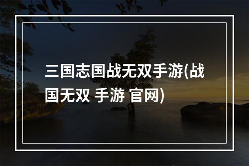 三国志国战无双手游(战国无双 手游 官网)