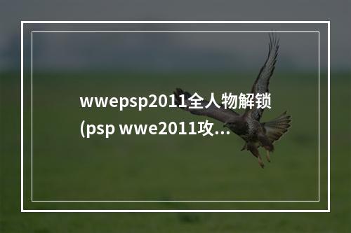 wwepsp2011全人物解锁(psp wwe2011攻略)