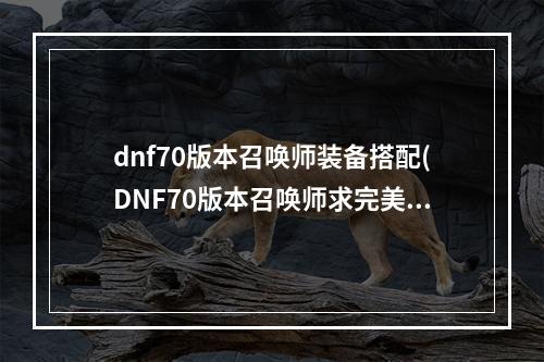 dnf70版本召唤师装备搭配(DNF70版本召唤师求完美刷图加点 70召唤刷图加点攻略)