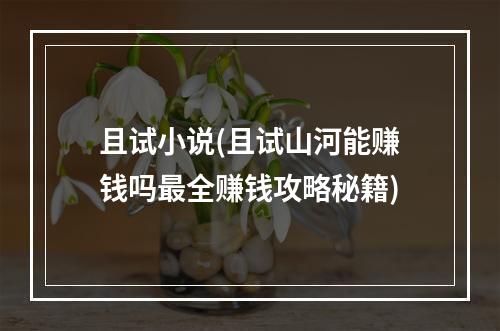 且试小说(且试山河能赚钱吗最全赚钱攻略秘籍)