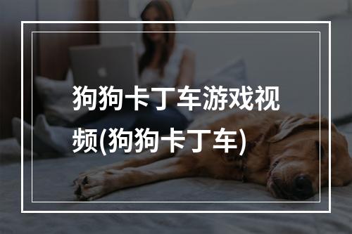 狗狗卡丁车游戏视频(狗狗卡丁车)