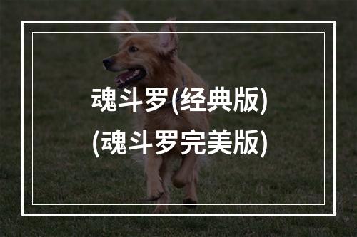 魂斗罗(经典版)(魂斗罗完美版)