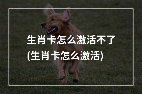 生肖卡怎么激活不了(生肖卡怎么激活)