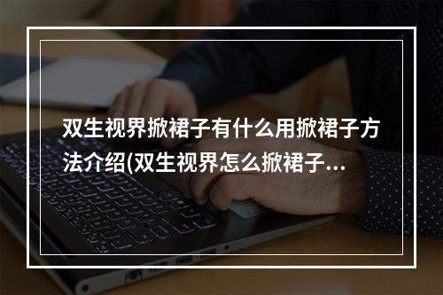 双生视界掀裙子有什么用掀裙子方法介绍(双生视界怎么掀裙子掀裙子需要什么条件)