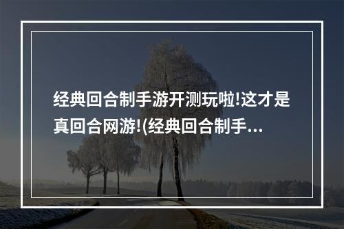 经典回合制手游开测玩啦!这才是真回合网游!(经典回合制手游ios)