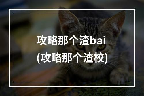 攻略那个渣bai(攻略那个渣校)