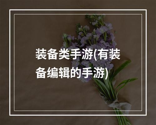 装备类手游(有装备编辑的手游)