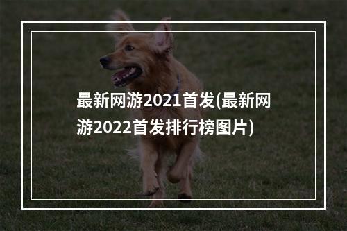 最新网游2021首发(最新网游2022首发排行榜图片)