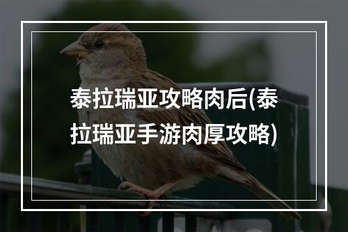 泰拉瑞亚攻略肉后(泰拉瑞亚手游肉厚攻略)