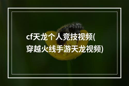 cf天龙个人竞技视频(穿越火线手游天龙视频)