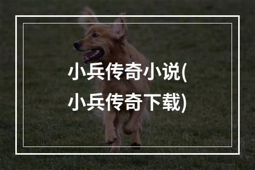 小兵传奇小说(小兵传奇下载)