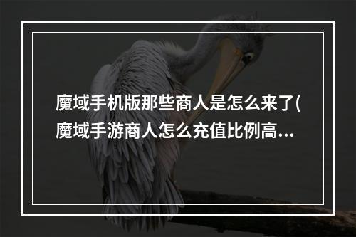 魔域手机版那些商人是怎么来了(魔域手游商人怎么充值比例高)