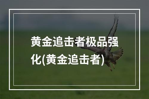 黄金追击者极品强化(黄金追击者)