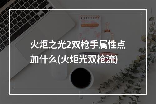 火炬之光2双枪手属性点加什么(火炬光双枪流)