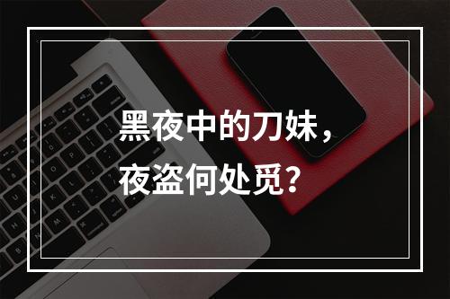 黑夜中的刀妹，夜盗何处觅？