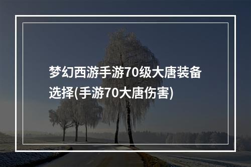 梦幻西游手游70级大唐装备选择(手游70大唐伤害)