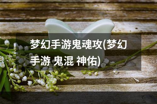 梦幻手游鬼魂攻(梦幻手游 鬼混 神佑)