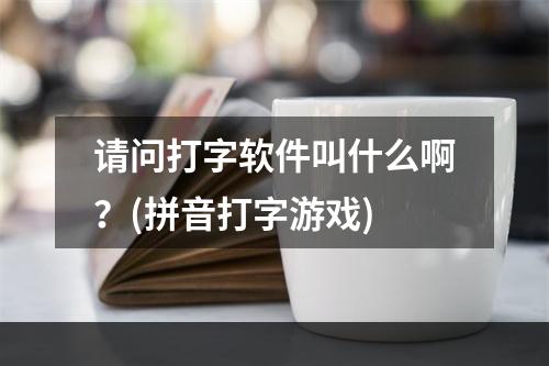 请问打字软件叫什么啊？(拼音打字游戏)