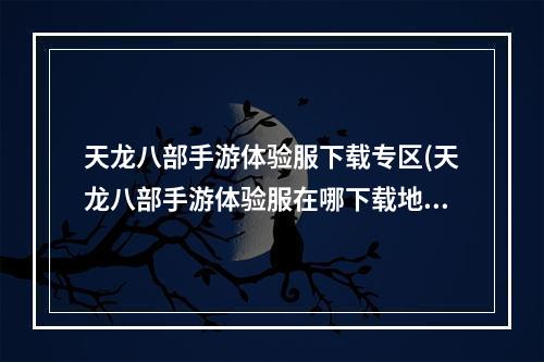 天龙八部手游体验服下载专区(天龙八部手游体验服在哪下载地址)