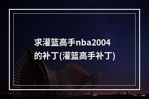 求灌篮高手nba2004的补丁(灌篮高手补丁)