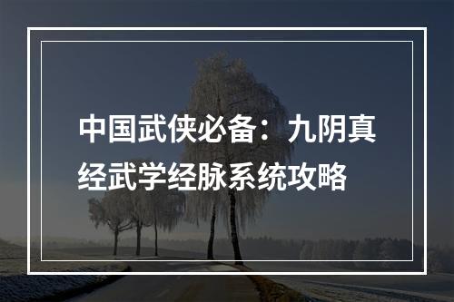 中国武侠必备：九阴真经武学经脉系统攻略