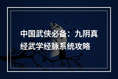 中国武侠必备：九阴真经武学经脉系统攻略