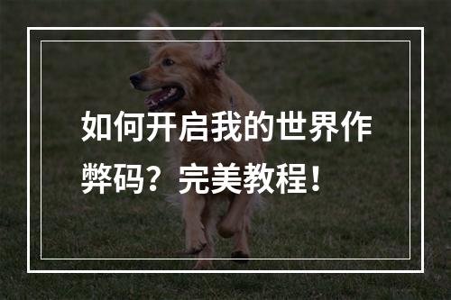 如何开启我的世界作弊码？完美教程！