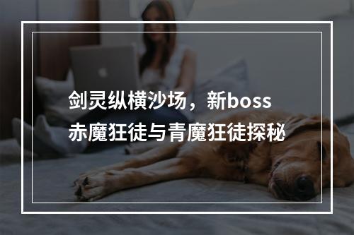 剑灵纵横沙场，新boss赤魔狂徒与青魔狂徒探秘