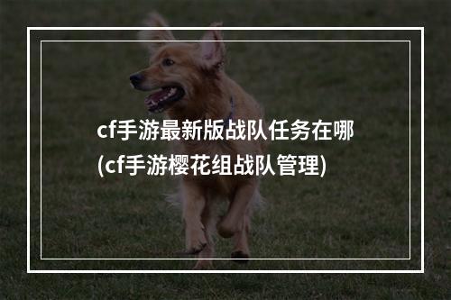 cf手游最新版战队任务在哪(cf手游樱花组战队管理)