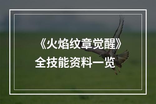 《火焰纹章觉醒》全技能资料一览