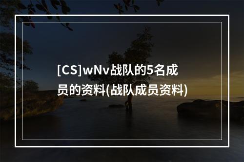 [CS]wNv战队的5名成员的资料(战队成员资料)