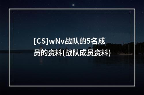 [CS]wNv战队的5名成员的资料(战队成员资料)