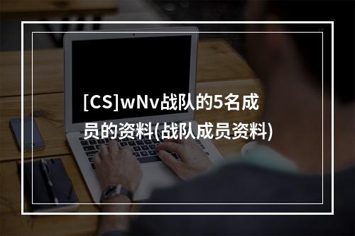 [CS]wNv战队的5名成员的资料(战队成员资料)