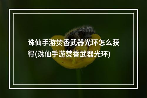 诛仙手游焚香武器光环怎么获得(诛仙手游焚香武器光环)