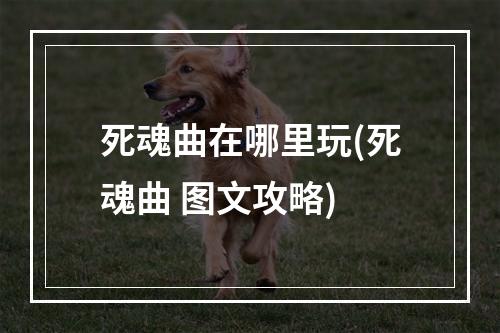 死魂曲在哪里玩(死魂曲 图文攻略)