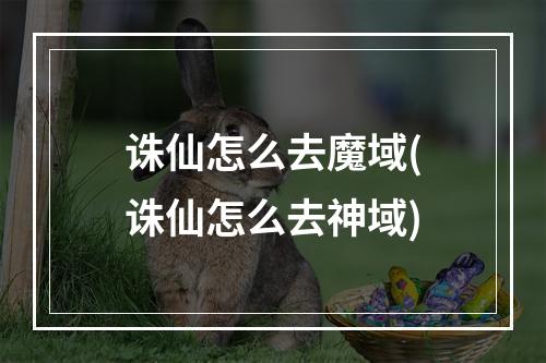 诛仙怎么去魔域(诛仙怎么去神域)