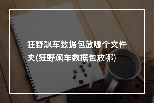 狂野飙车数据包放哪个文件夹(狂野飙车数据包放哪)