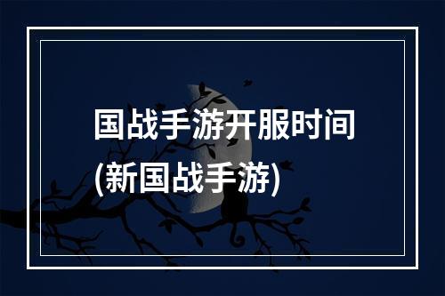 国战手游开服时间(新国战手游)